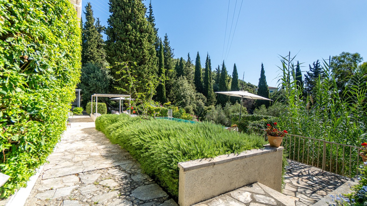 Photo of Outdoor in Petaleia