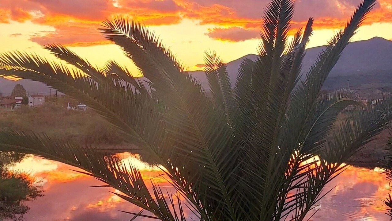 Photo of Outdoor in Nea Mesagkala