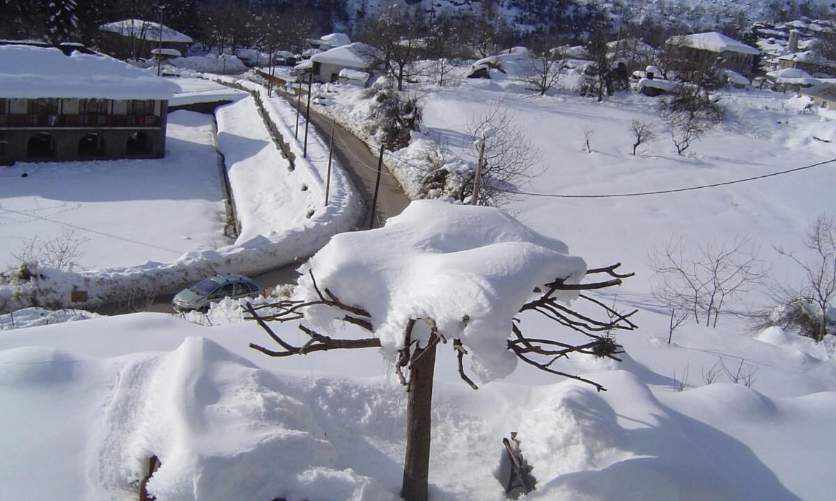 Photo of Outdoor in Tsepelovo