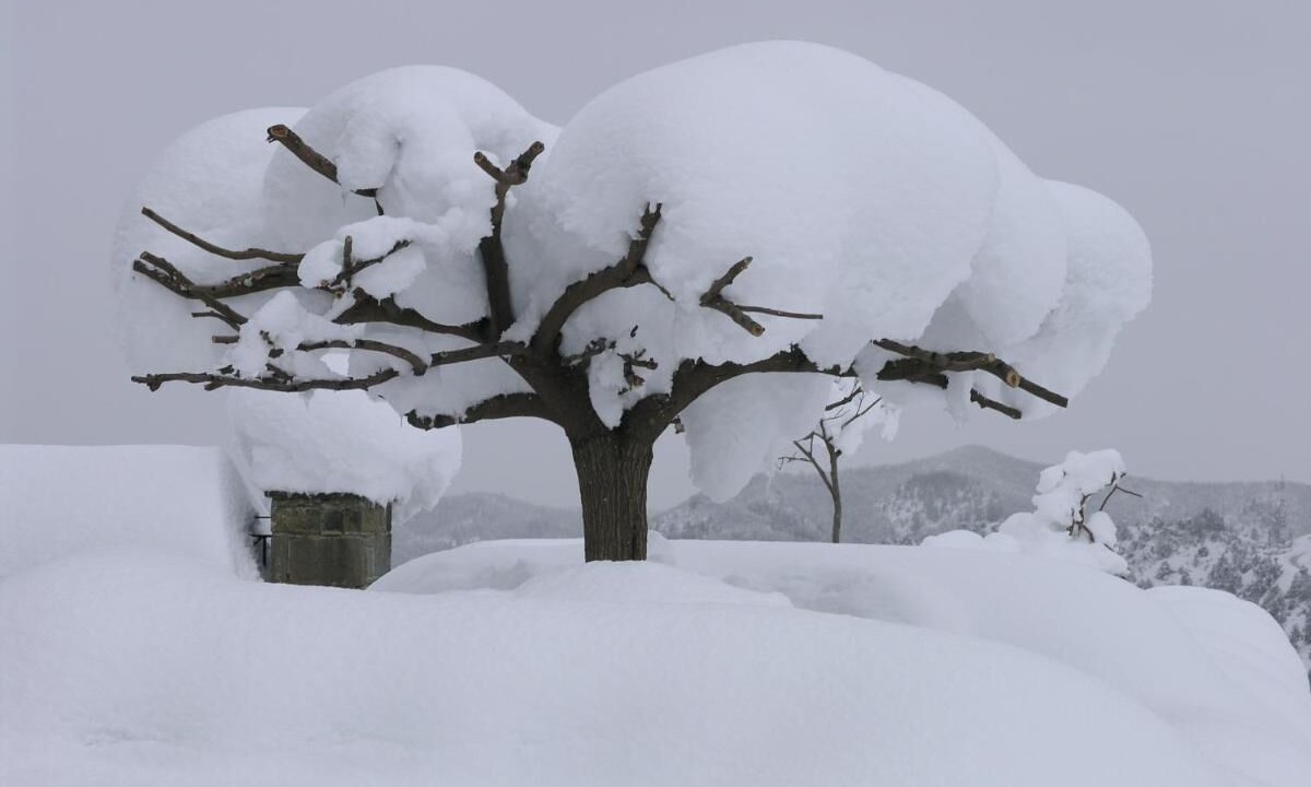 Photo of Outdoor in Tsepelovo