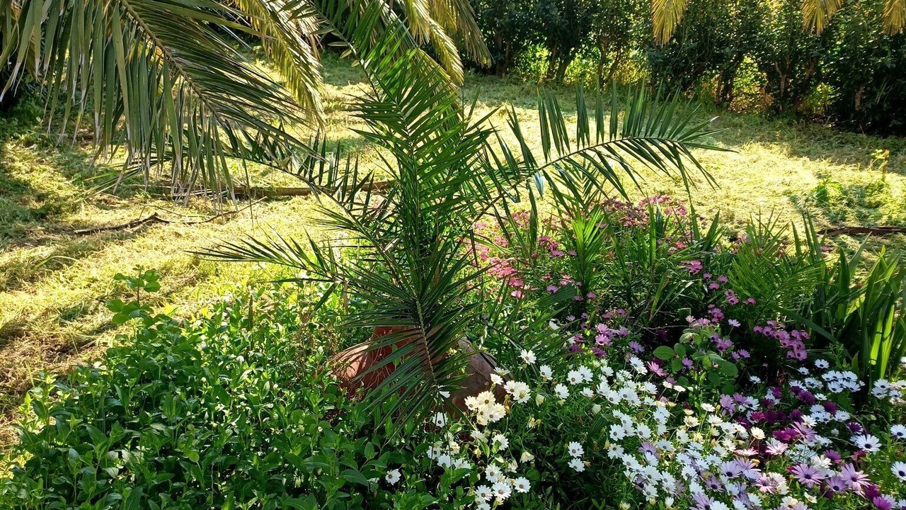 Photo of Outdoor in Skala Kallonis