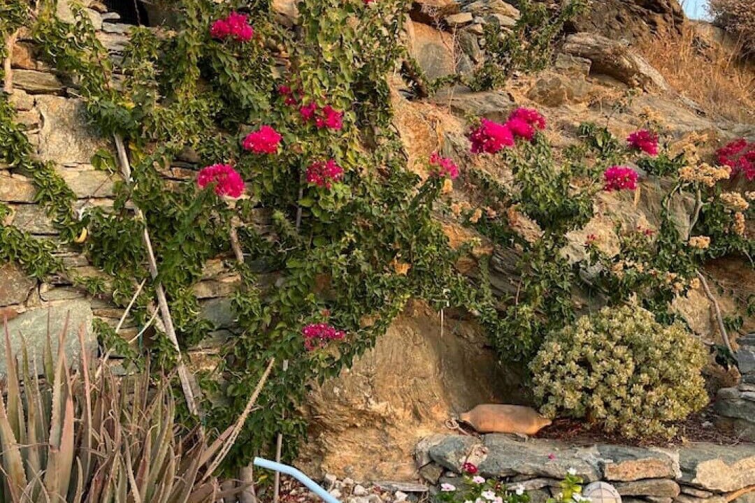 Photo of Outdoor in Kithnos