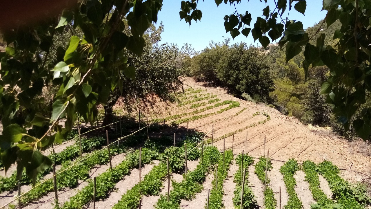 Photo of Outdoor in Kato Simi