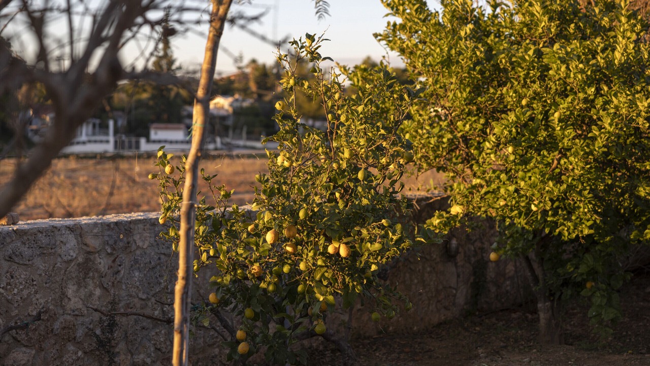 Photo of Outdoor in Kilada