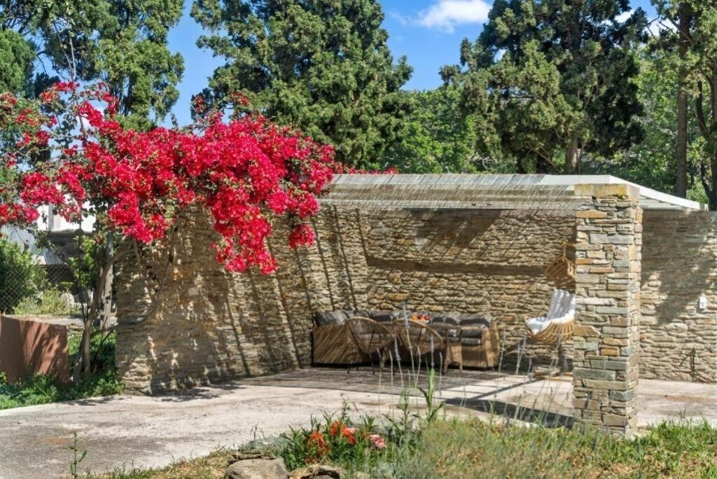 Photo of Patio Balcony in Andros Town