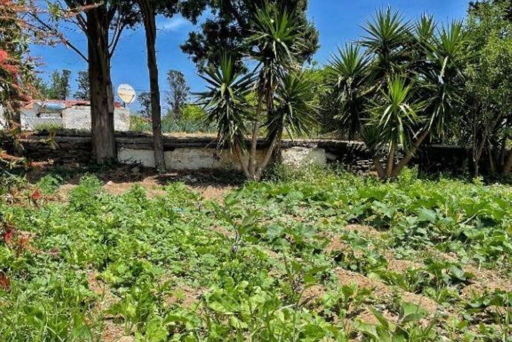 Photo of Outdoor in Andros Town