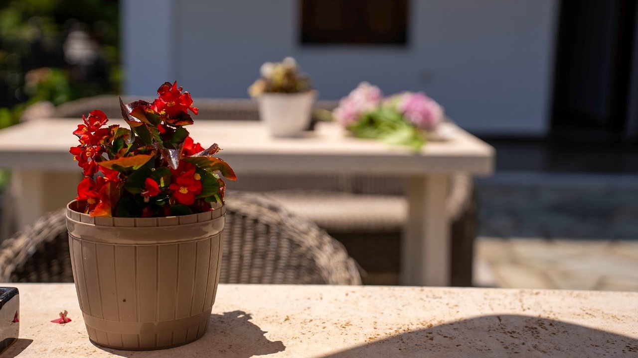 Photo of Patio Balcony in Agios Dimitrios