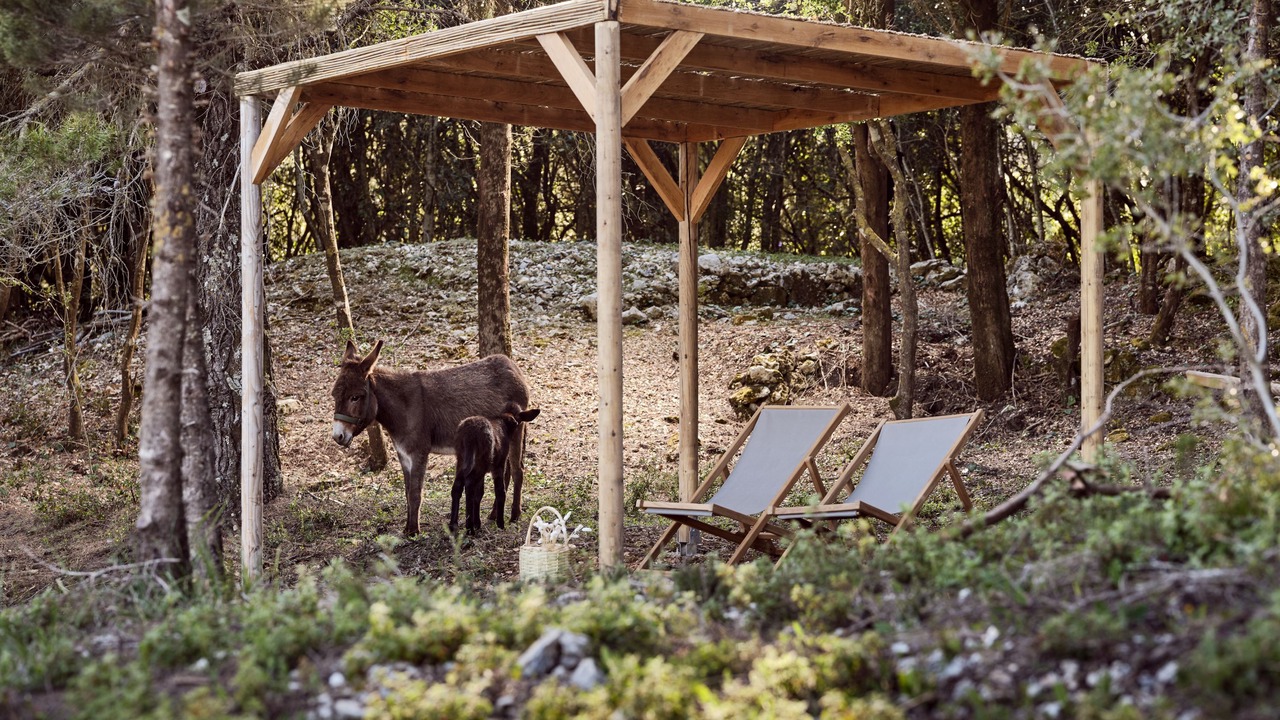 Photo of Outdoor in Agia Marina