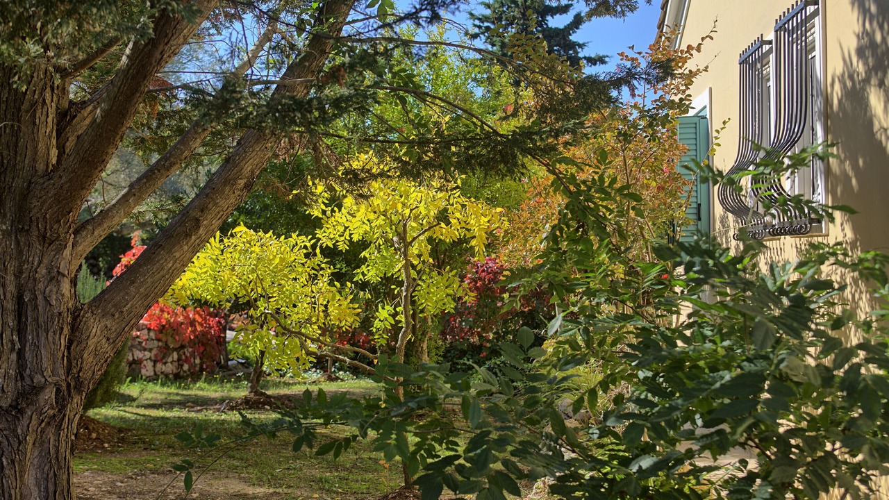 Photo of Outdoor in Kavallos