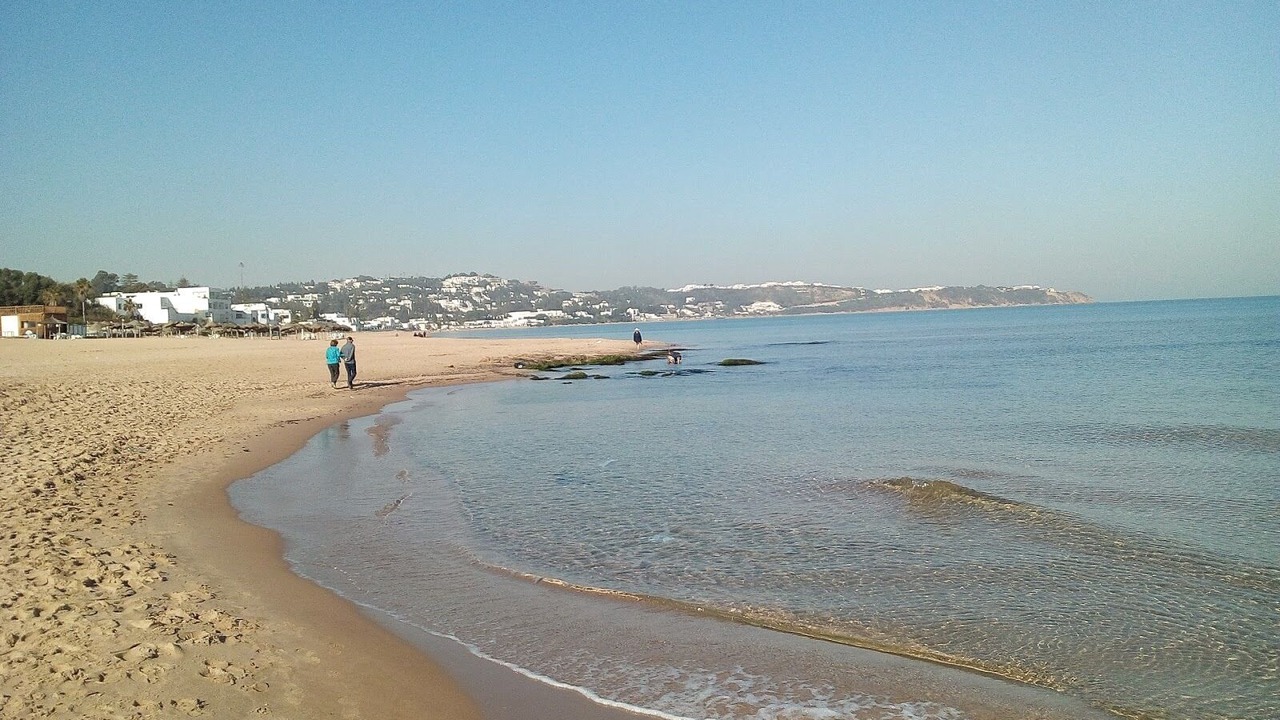 Photo of Others in Sidi Abdel Aziz