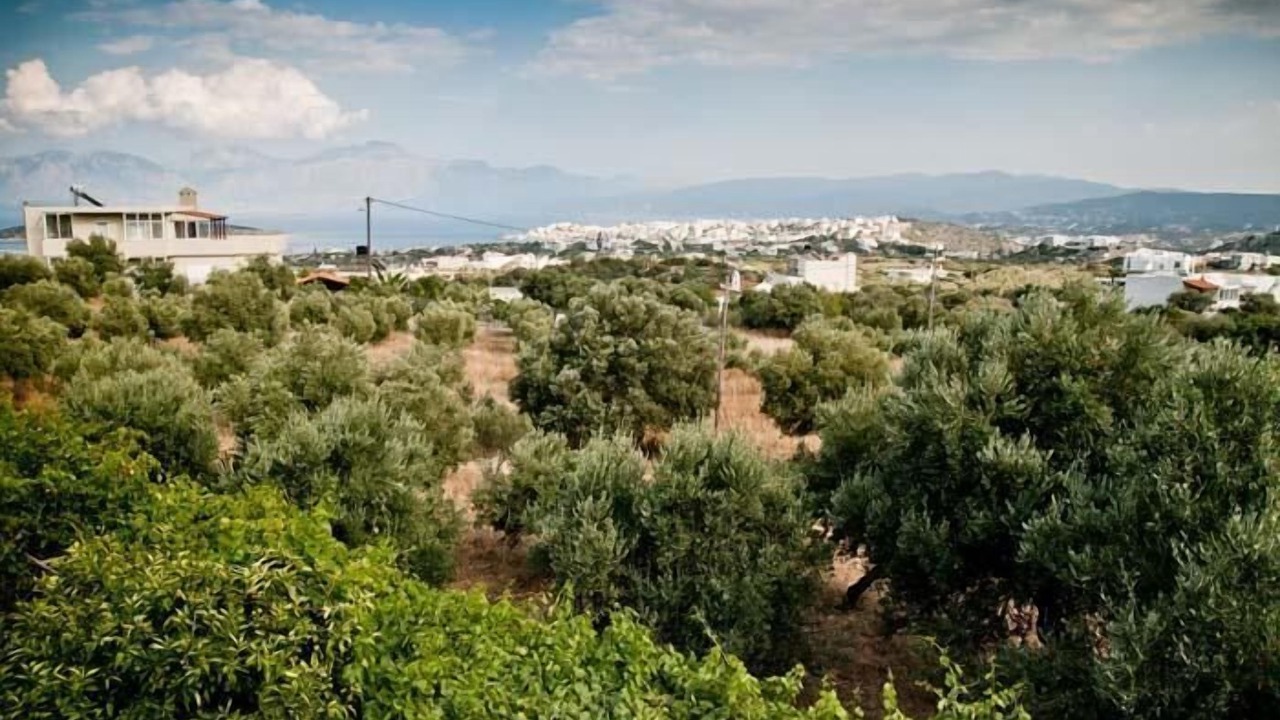 Photo of Outdoor in Katsikia
