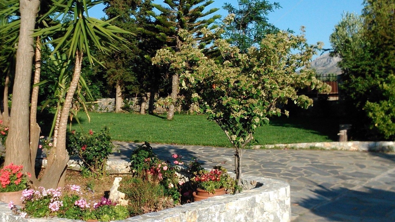 Photo of Outdoor in Lefkogeia