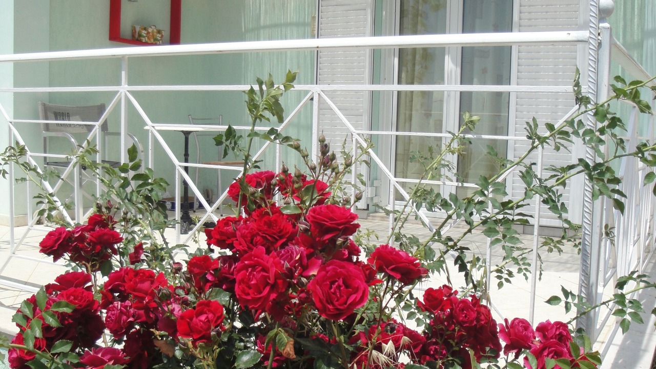 Photo of Outdoor in Agios Eleftherios
