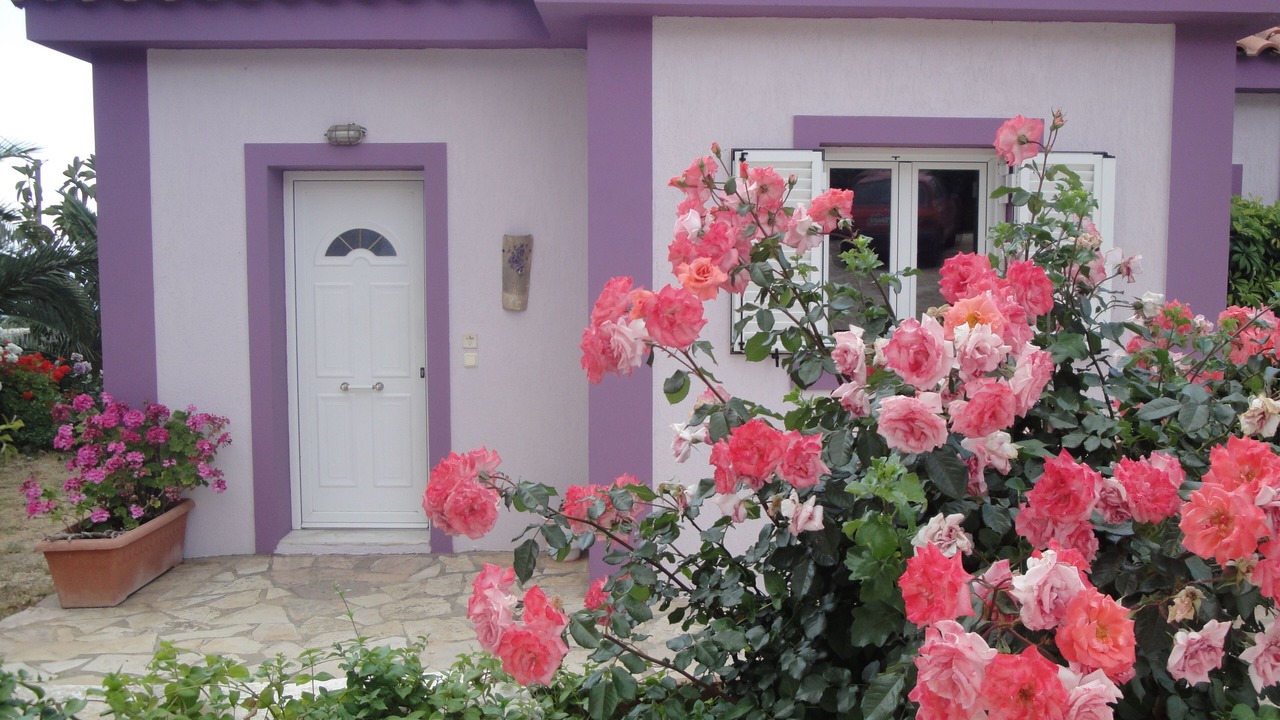Photo of Outdoor in Agios Eleftherios