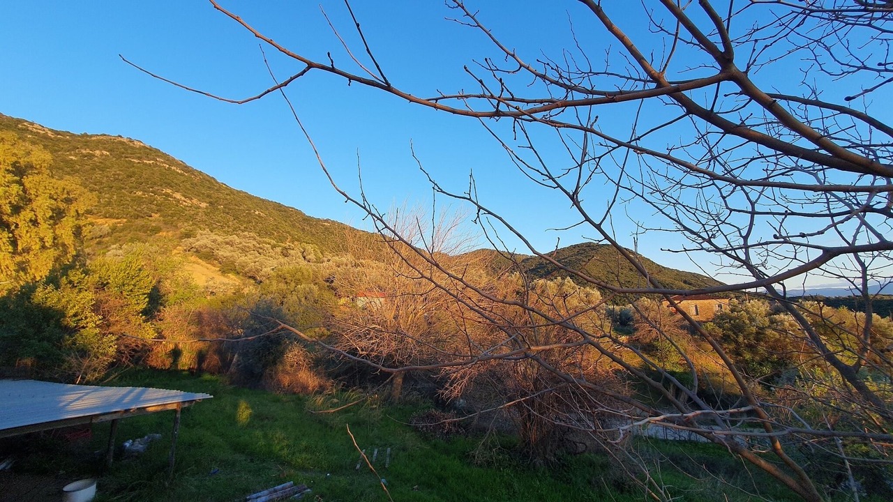 Photo of Outdoor in Agrinio