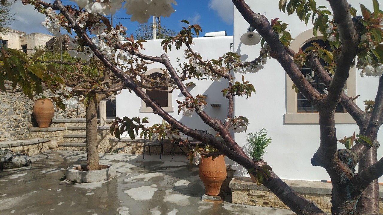 Photo of Outdoor in Sitia