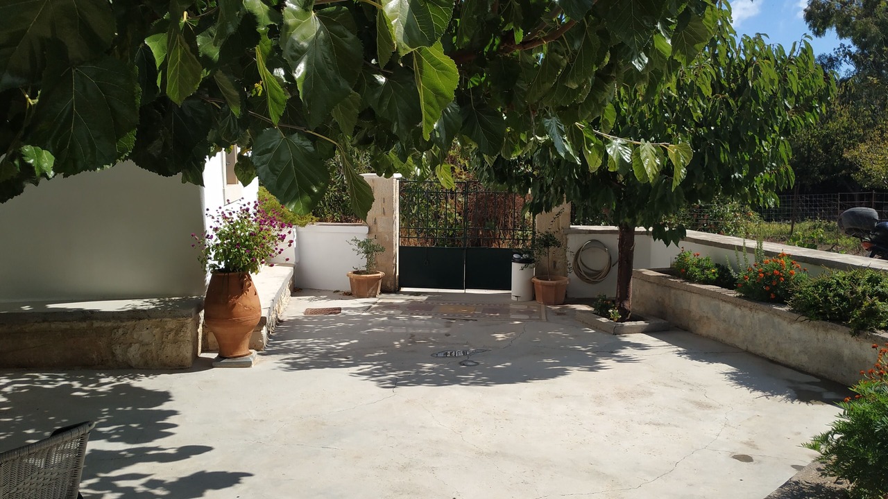 Photo of Outdoor in Sitia