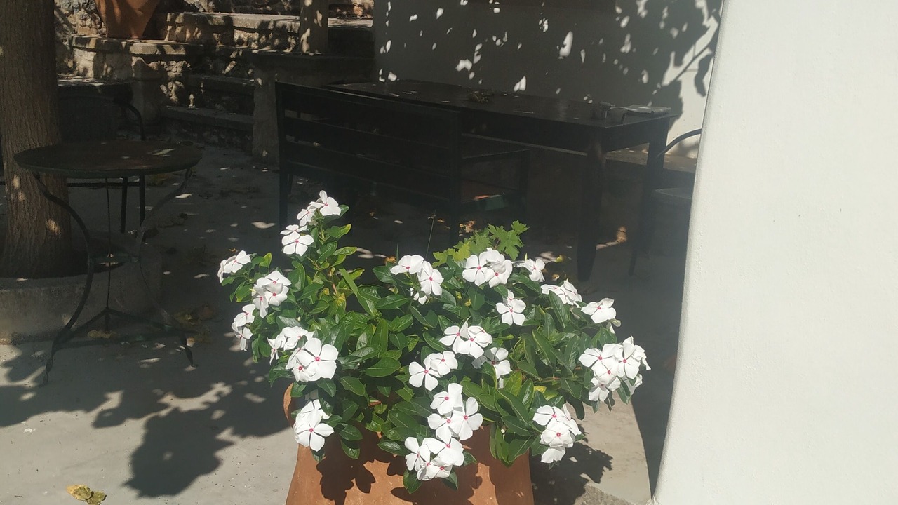 Photo of Outdoor in Sitia