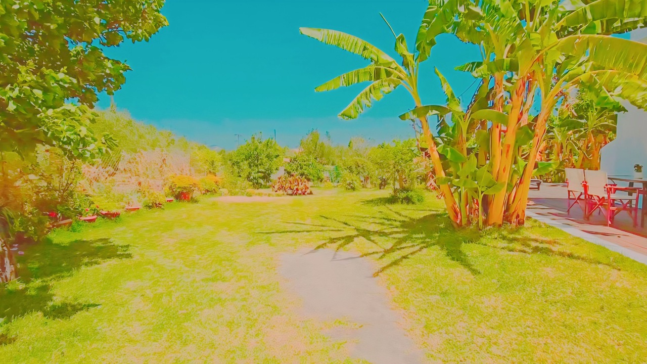 Photo of Outdoor in Lithakia