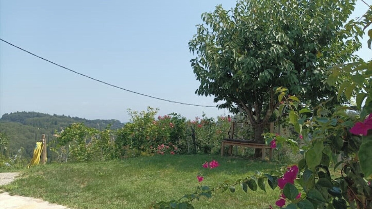 Photo of Outdoor in Agios Georgios