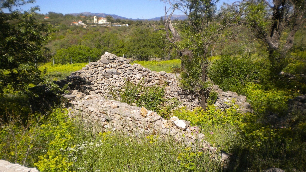 Photo of Others in Fokiano