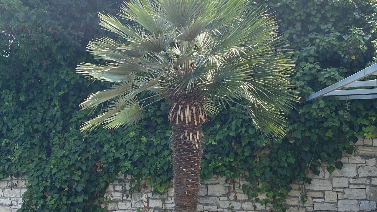 Photo of Outdoor in Adelianos Kampos