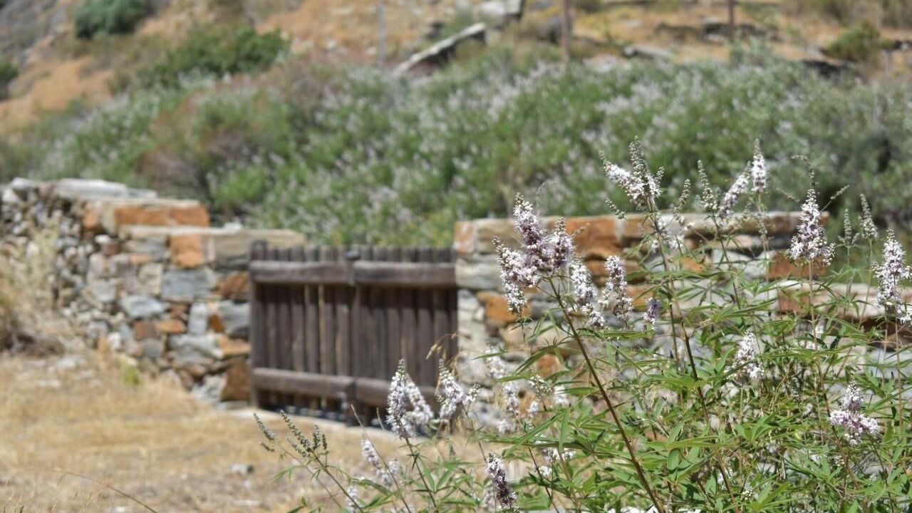 Photo of Outdoor in Kea
