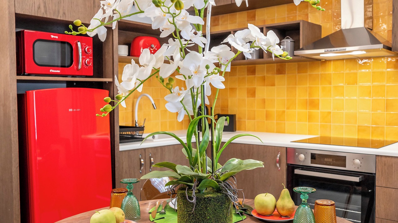 Photo of Kitchen in Kos