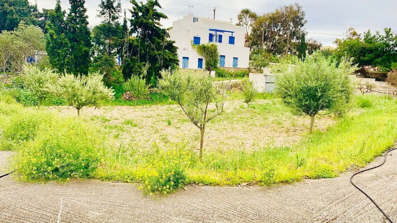 Photo of Others in Posidonia