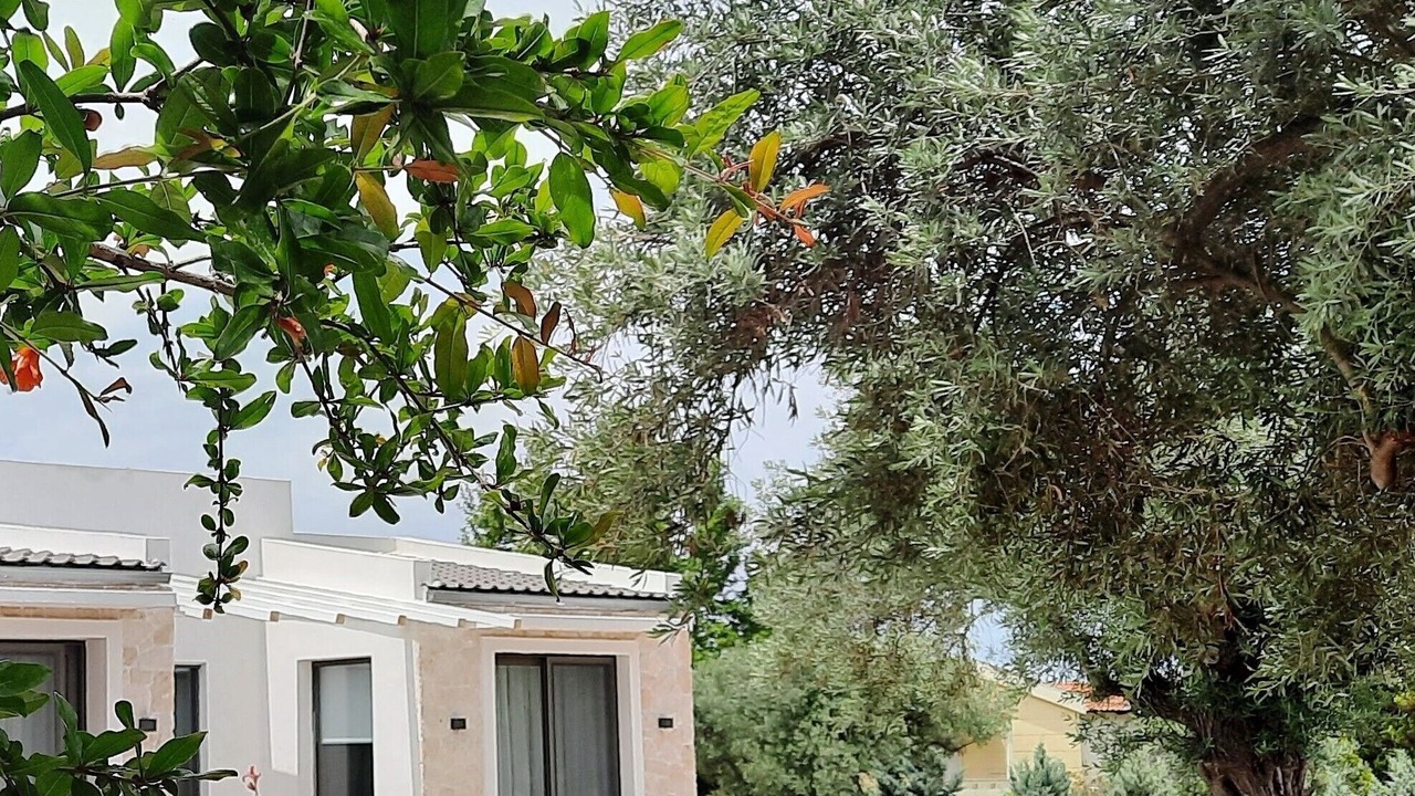 Photo of Others in Vourvourou