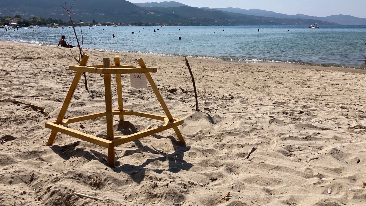 Photo of Others in Alikanas