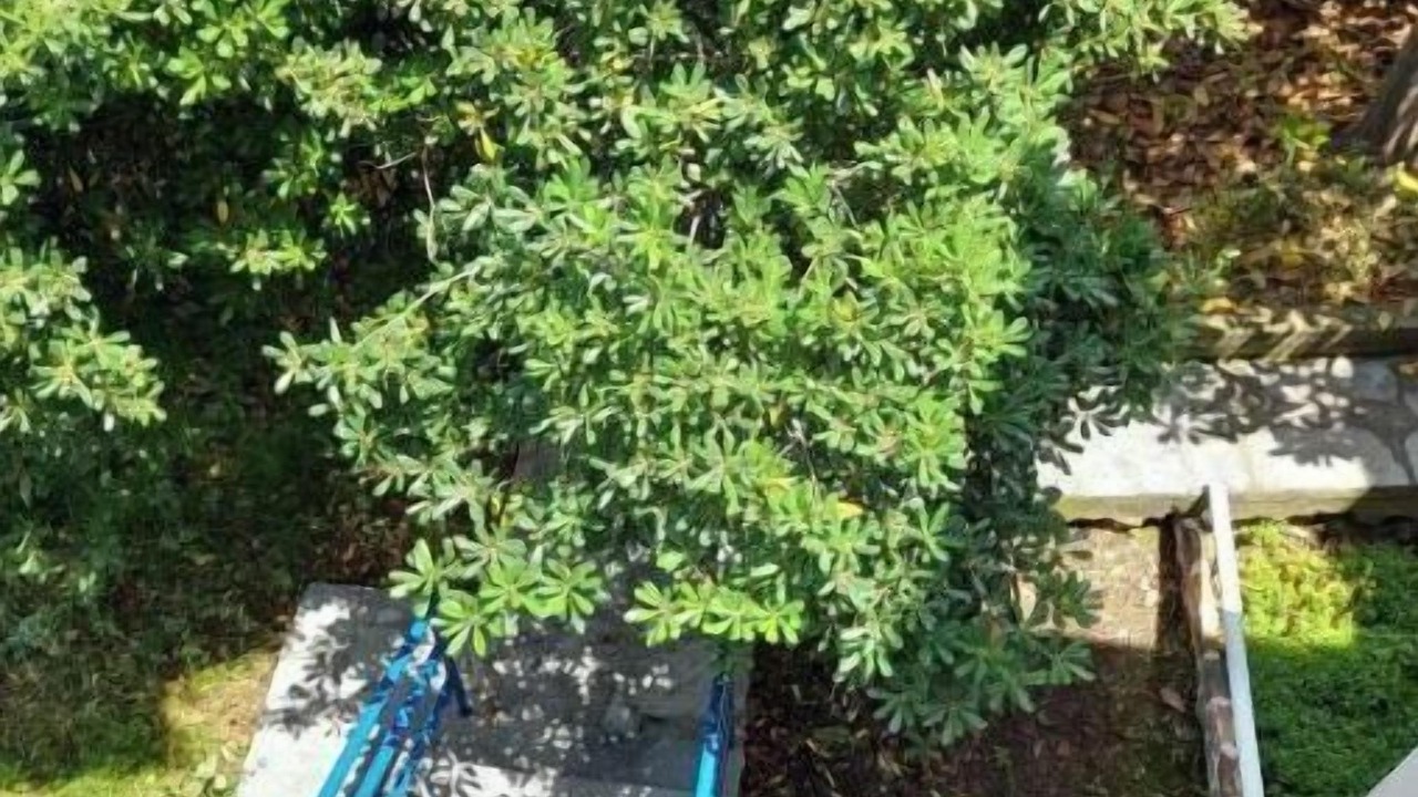 Photo of Outdoor in Nea Potidaia
