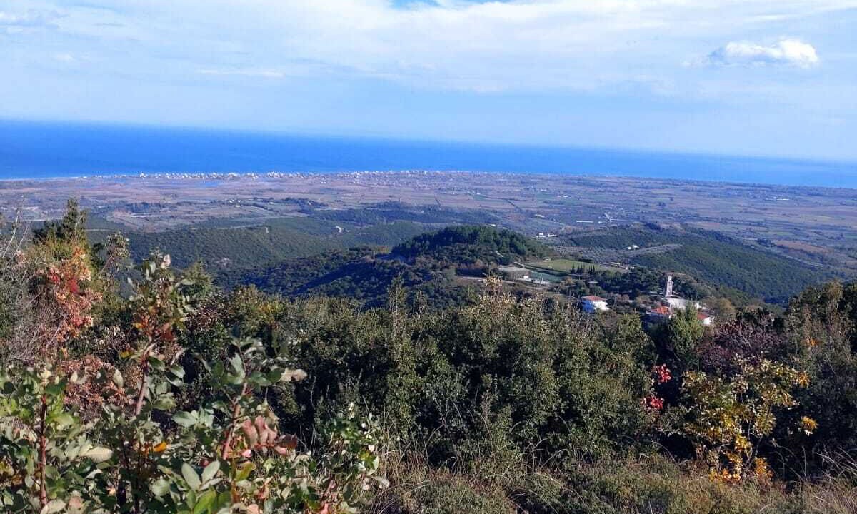 Photo of Outdoor in Nea Mesagkala