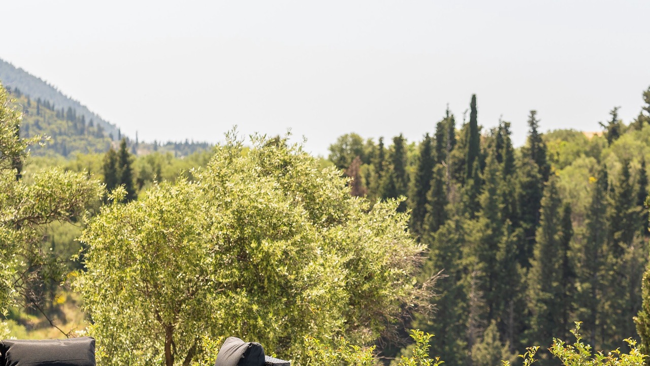 Photo of Outdoor in Nikita