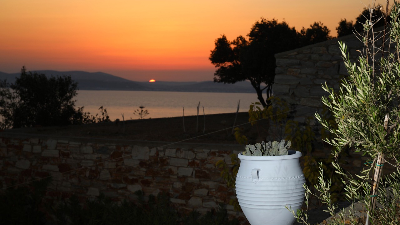 Photo of Outdoor in Stelida