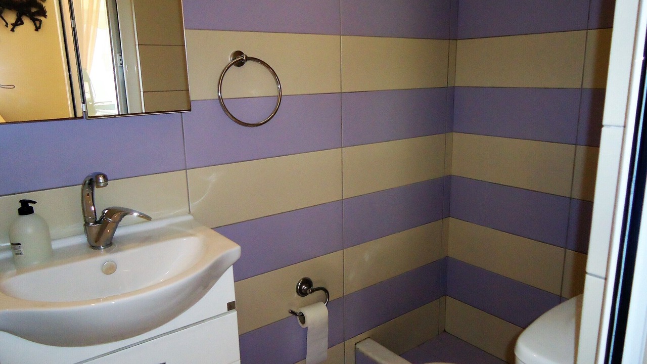 Photo of Bathroom in Patras