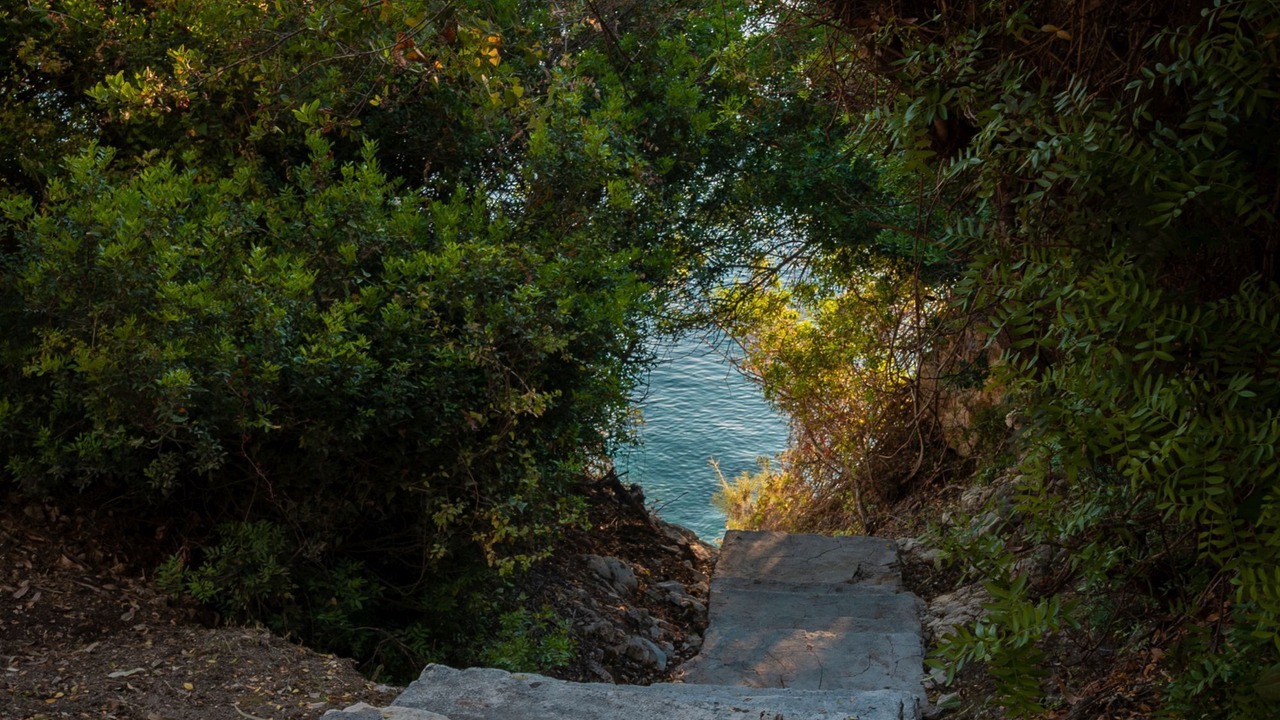 Photo of Outdoor in Marathias