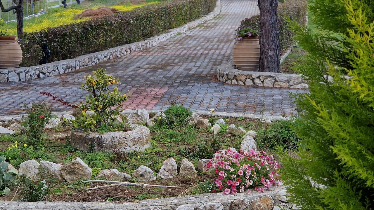 Photo of Outdoor in Melikia