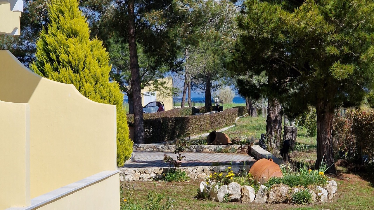 Photo of Outdoor in Melikia