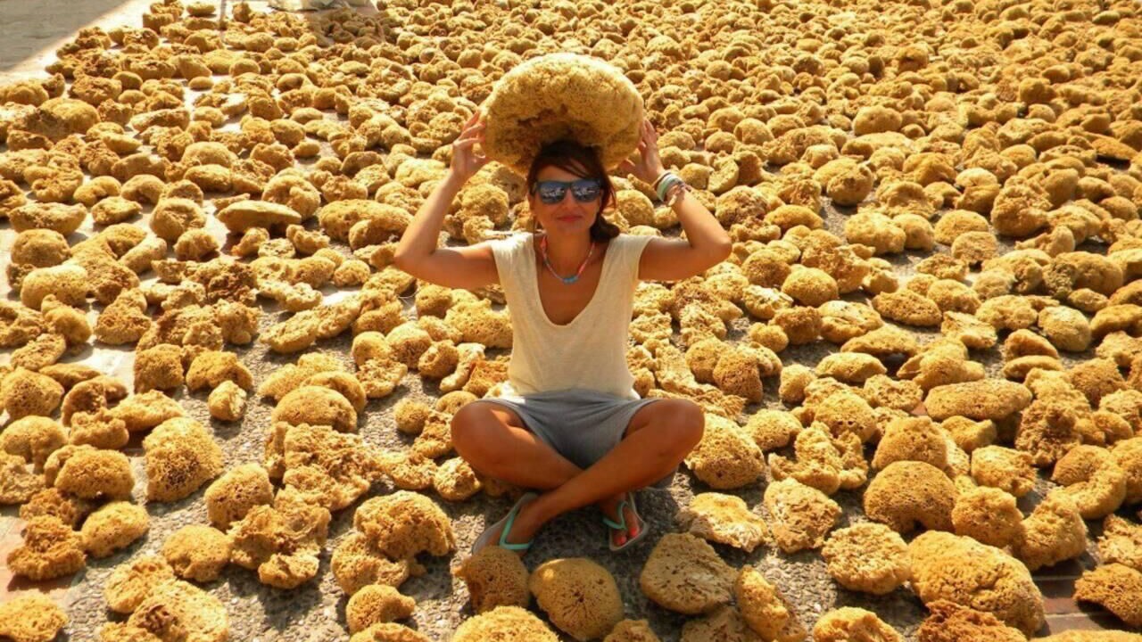 Photo of Others in Massouri