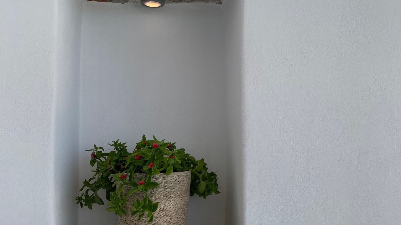 Photo of Outdoor in Agia Anna