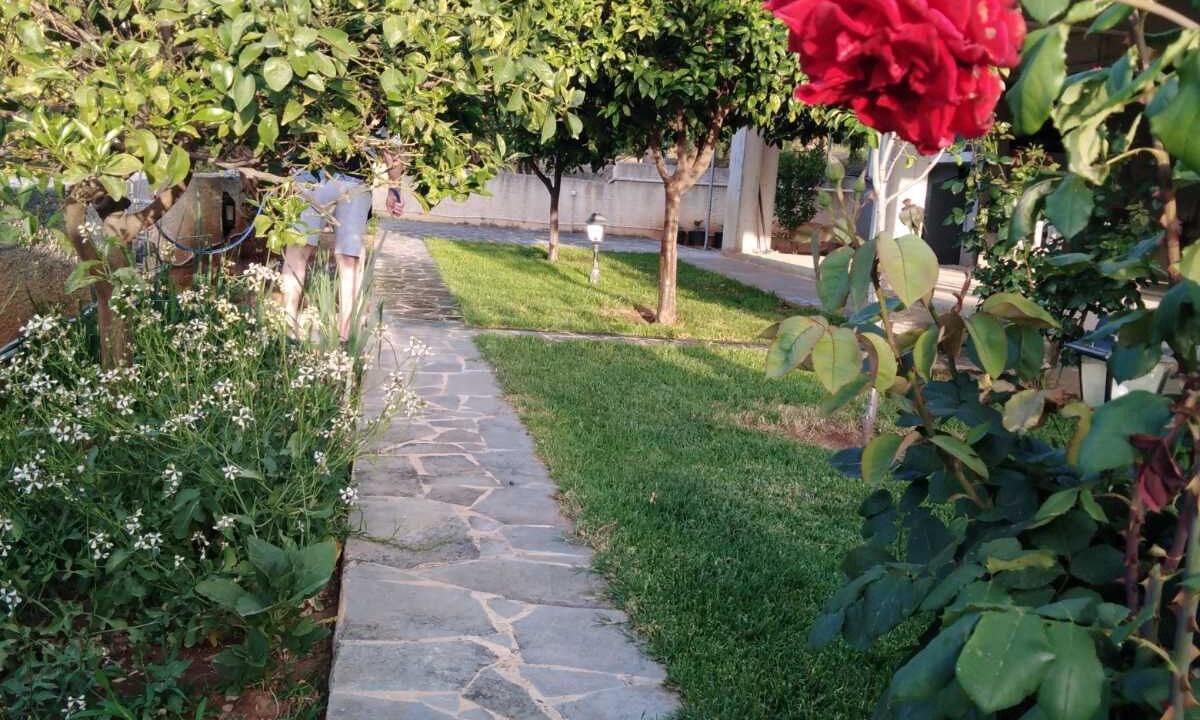 Photo of Outdoor in Derveni