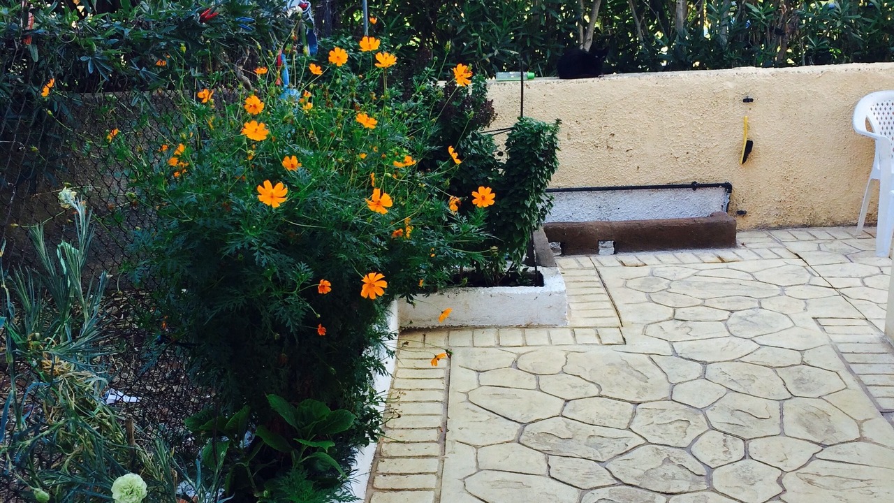 Photo of Outdoor in Petrochori