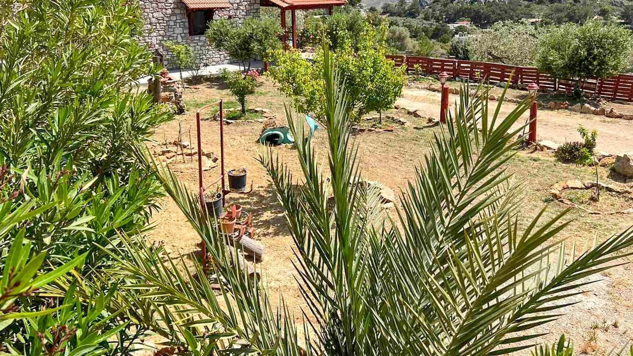 Photo of Outdoor in Archangelos