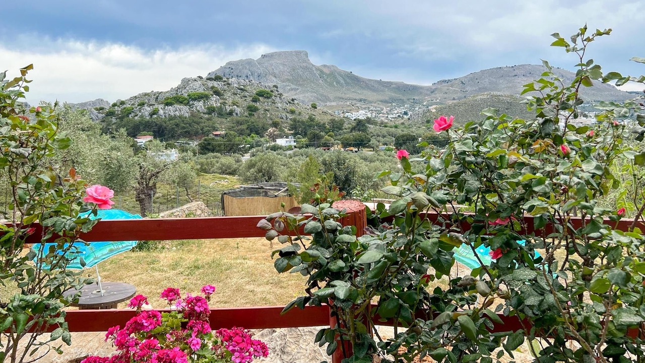 Photo of Outdoor in Archangelos