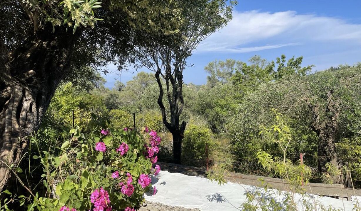 Photo of Outdoor in Mpogdanatika