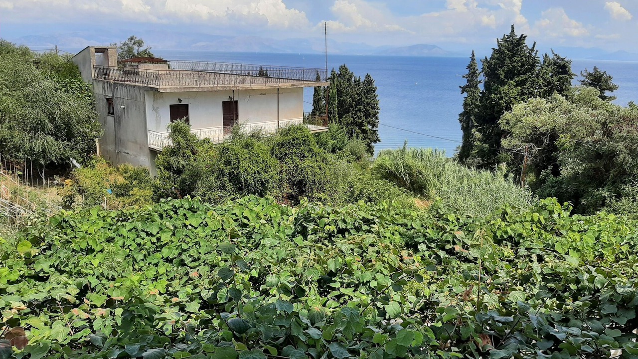 Photo of Others in Dafnata