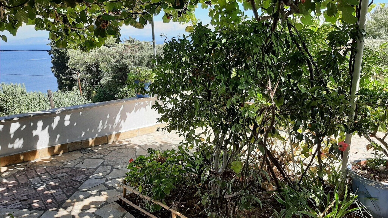 Photo of Outdoor in Dafnata