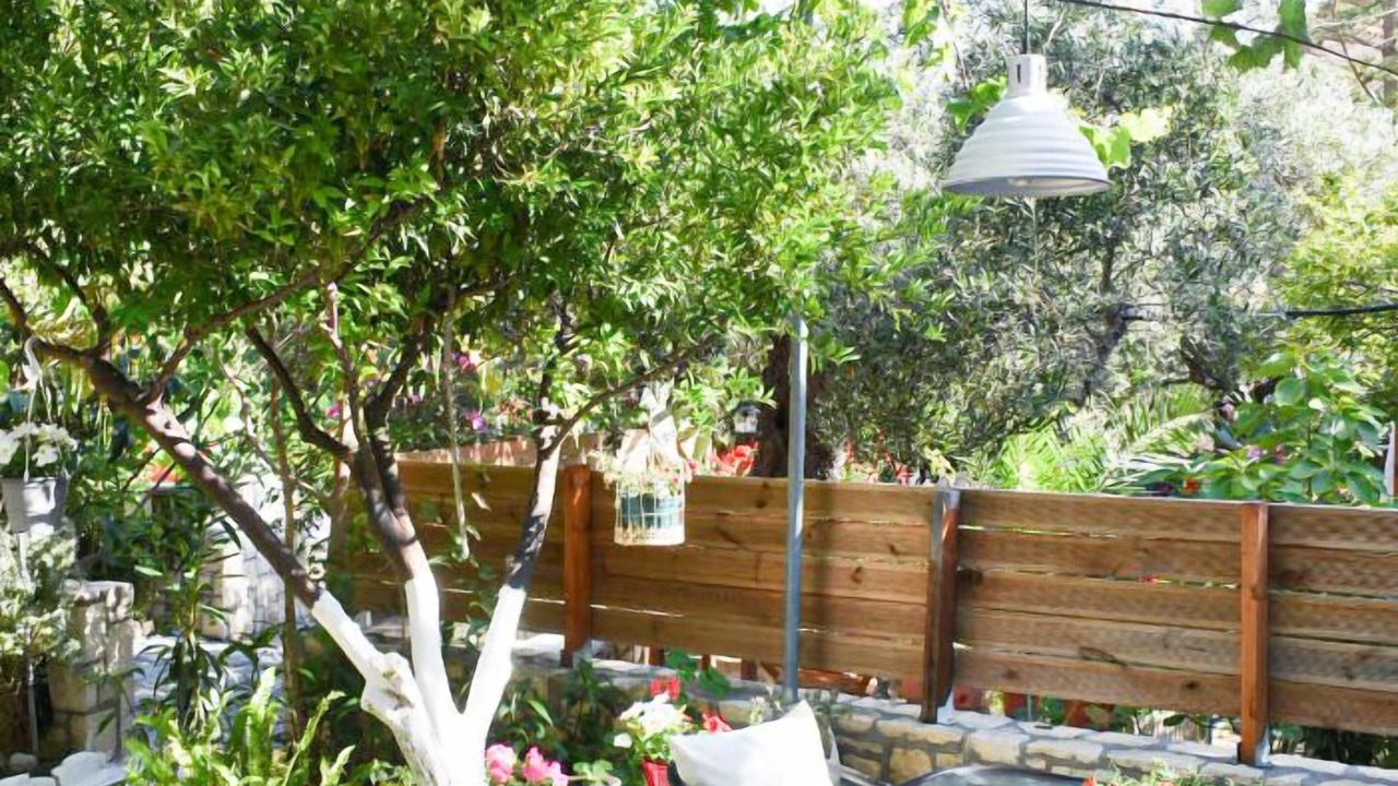 Photo of Outdoor in Viannos