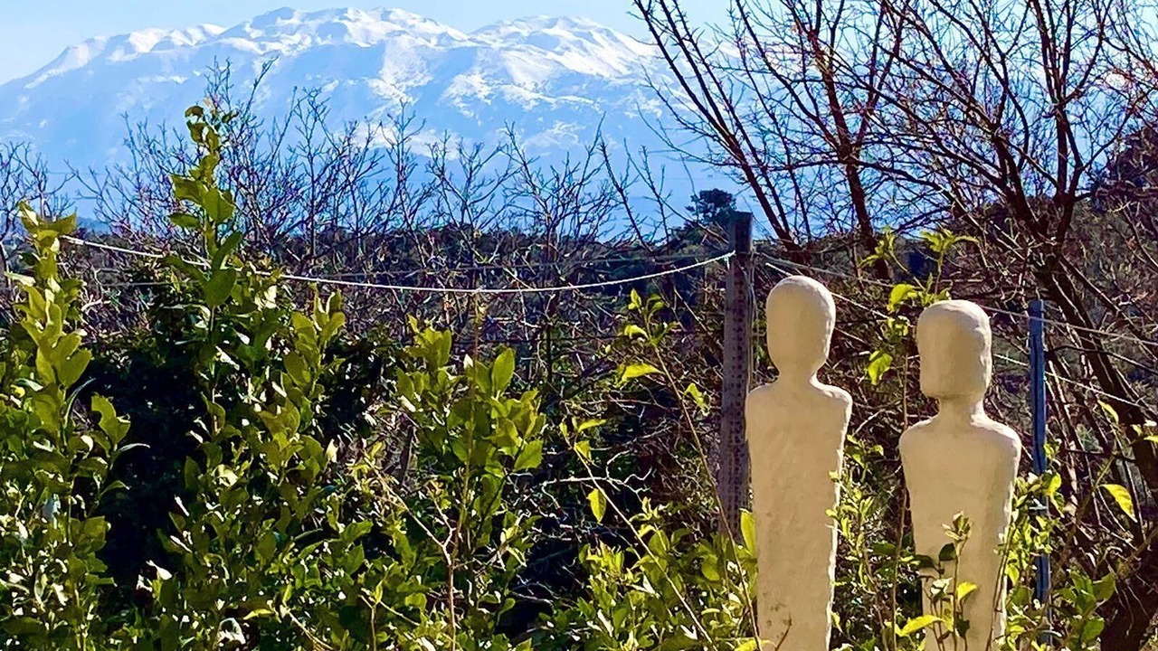 Photo of Others in Drapanos